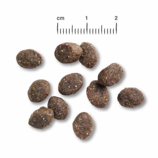 BELCANDO kutya száraztáp Puppy GF 1kg Baromfi friss hússal