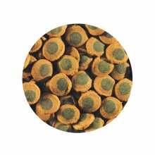 TETRA Pleco Spirulina Wafers 15g haleledel