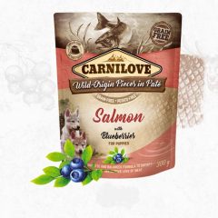   KT CARNILOVE kutya alutasakos PATÉ 300g Puppy Salmon with Blueberryes