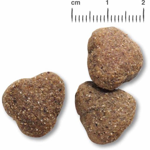 BELCANDO kutya száraztáp Adult GF Baromfival 12,5kg friss hússal