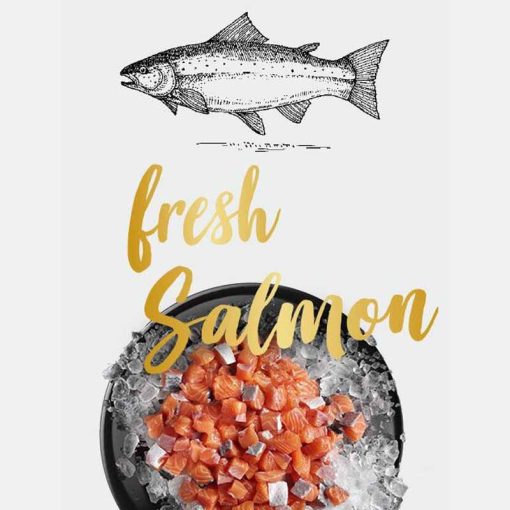 LEONARDO macskatáp Fresh Meat 4kg friss Lazac és Baromfihússal