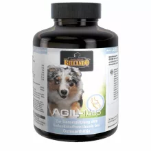 BELCANDO AGIL tabletta 120db