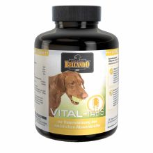 BELCANDO VITAL tabletta 120db