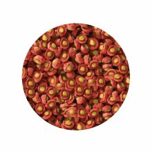 SERA KOI Professional Tavaszi/őszi 2,2kg