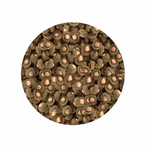 SERA KOI Professional-Spirulina 7kg