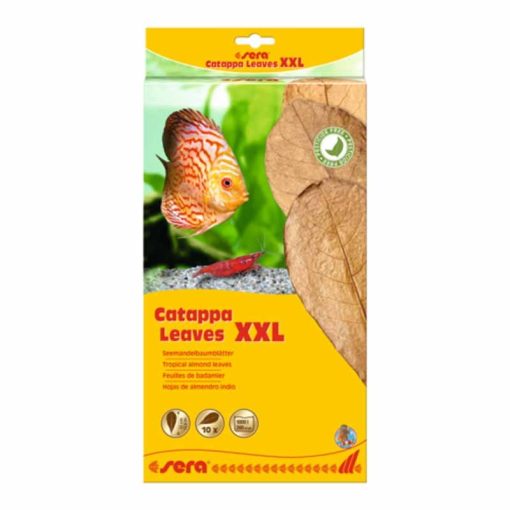 SERA Catappa levél XXL (30-35cm) akváriumban meggátolják gombák elszaporodását