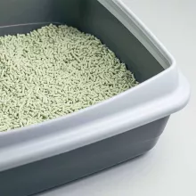 CAT RINA PRÉMIUM TOFU macskaalom Zöld tea illattal 5,5L