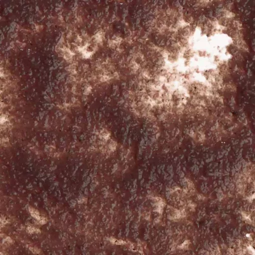 TETRA Fresh Delica Daphnia 48 g akváriumi zselés haleledel