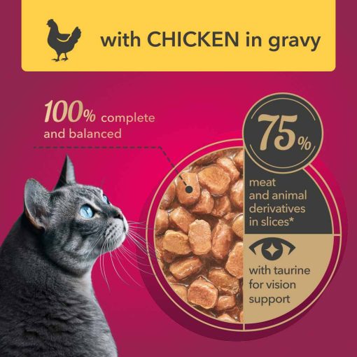 24x85g - KARTON MY LOVE macska Kitten Csirke ízletes szószban Alutasakos Macskaeledel