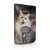   16x85g - KARTON LEONARDO Finest Selection szinhúsos alutasakos macsaeledel Nyúlhús Tőzegáfonyával