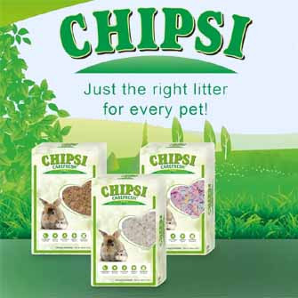 CHIPSI