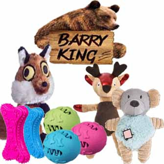BARRY KING