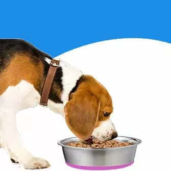 ETETŐ ÉS ITATÓ TÁLAK