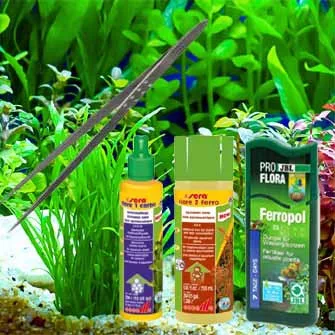 AKVÁRIUM NÖVÉNY ÁPOLÁS