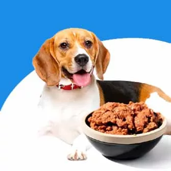 KUTYA KONZERVEK ÉS NEDVES ELEDELEK