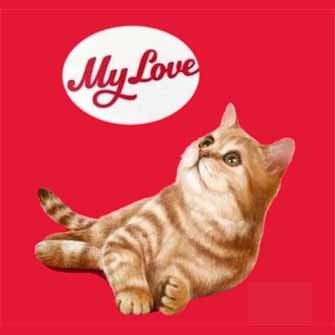 MY LOVE