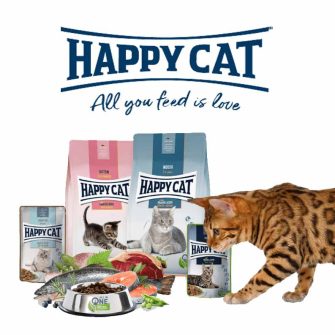 HAPPY CAT
