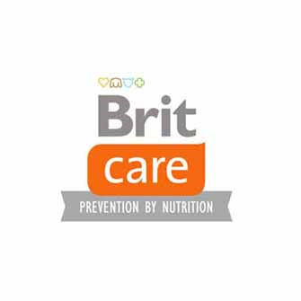 BRIT CARE