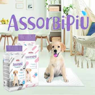 ASSORBIPIU