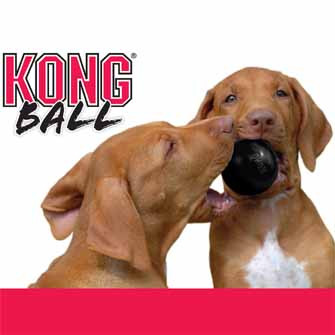 KONG
