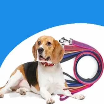 PÓRÁZOK ÉS KIEGÉSZÍTŐK