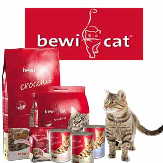 BEWI-CAT