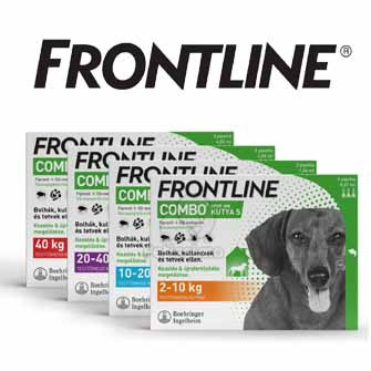 FRONTLINE