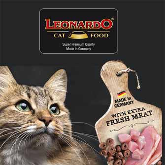 LEAONARDO