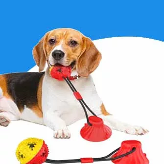 KIKÉPZÉS ÉS TANÍTÁS