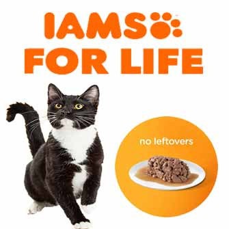 IAMS