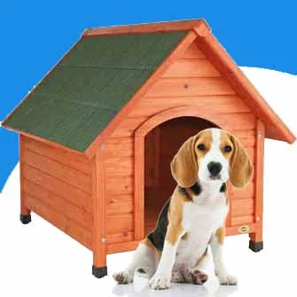 HÁZAK, KENNELEK, LÉPCSŐK