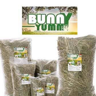 BUNNY YUMMY