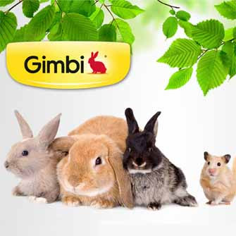 GIMCAT
