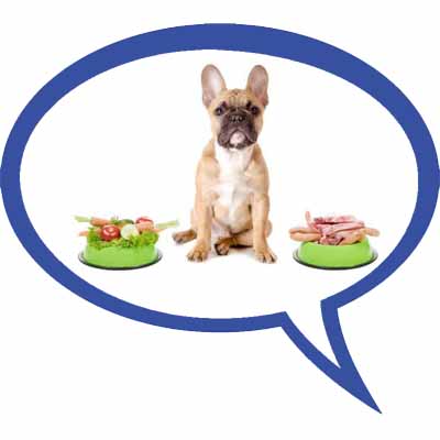  Mit tehetünk ha kutyánk válogat, nem akarja elfogadni a táplálékot?